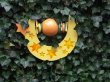 Klicke f�r Voll Darstellung